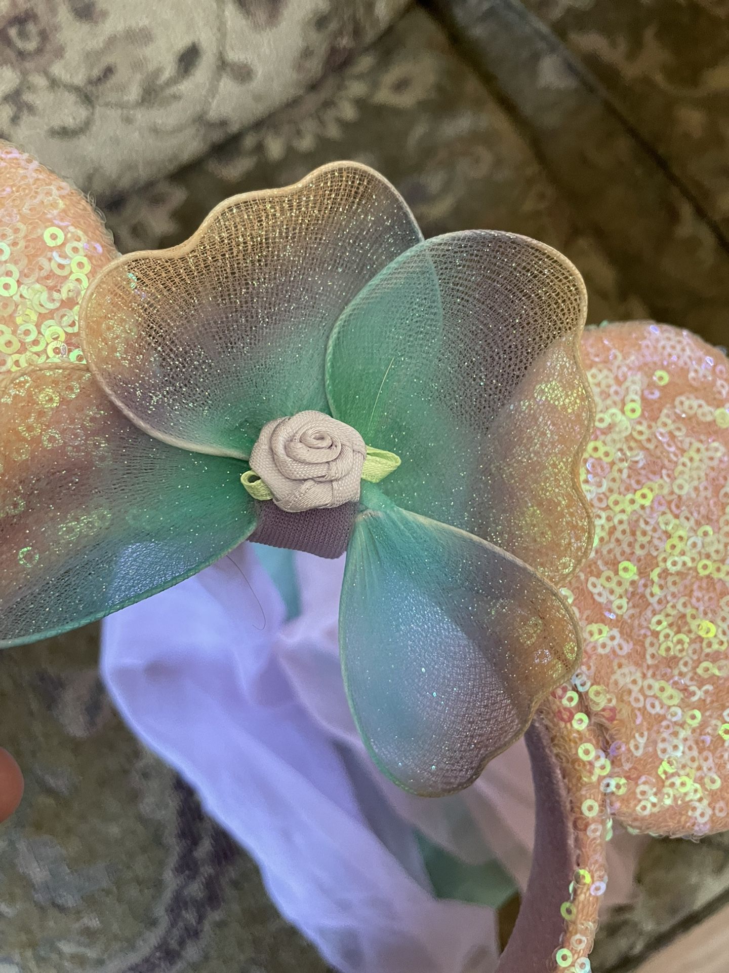 Princess Mickey Ears