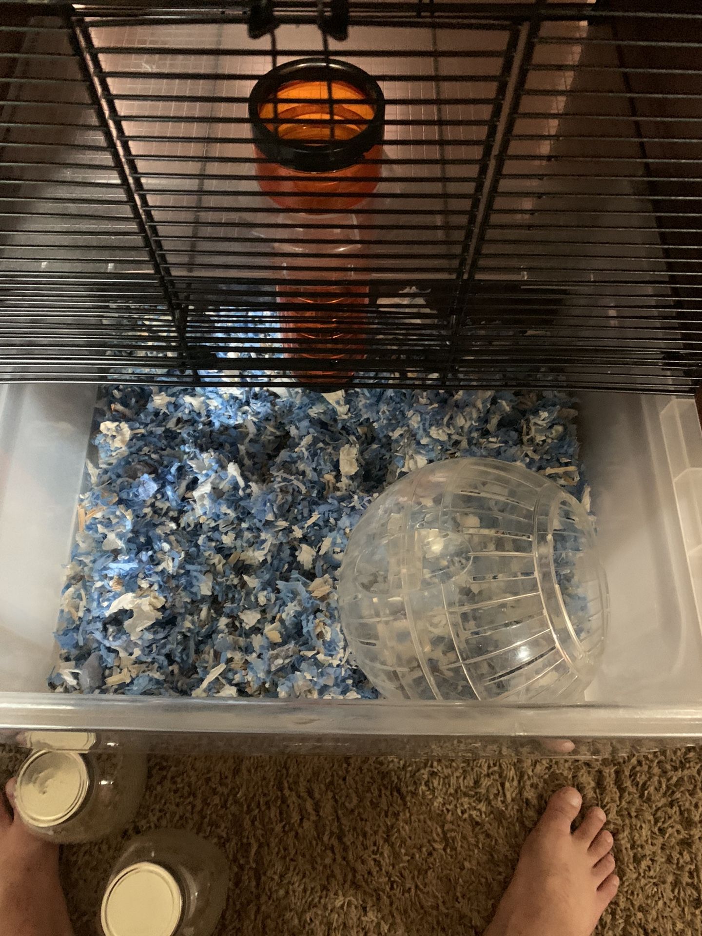 hamster cage and accessories