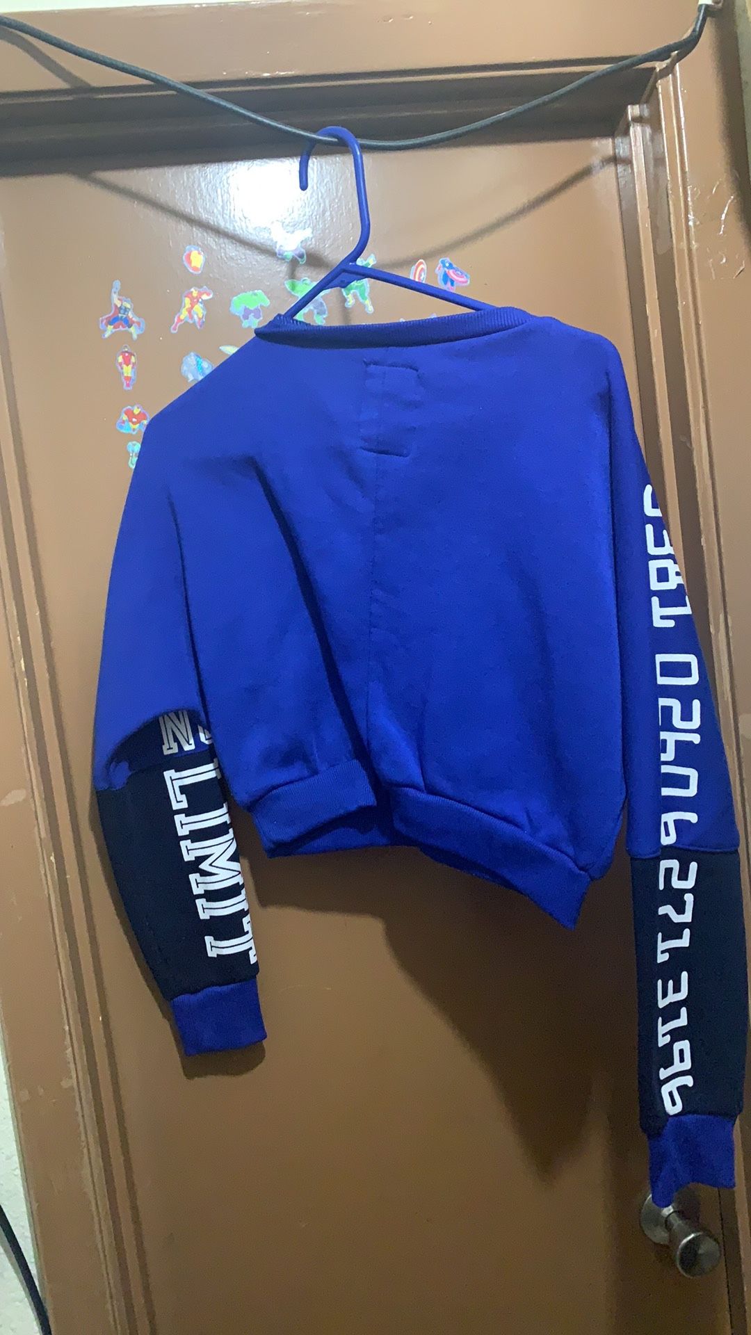 Crop Top Hoodies