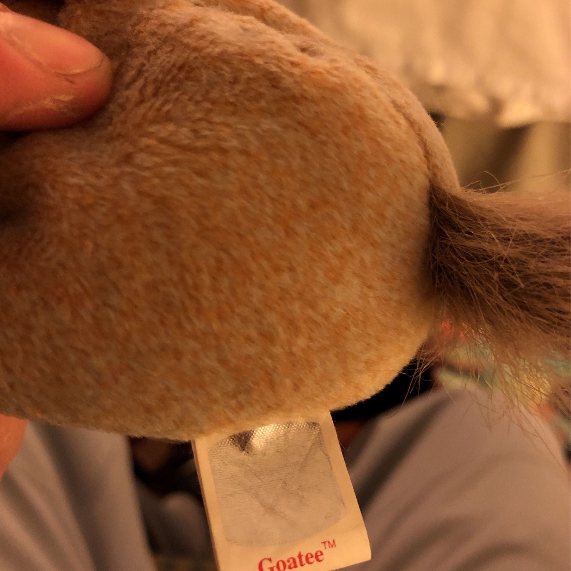 Ty Beanie Baby Goatee (1999)