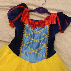 Cinderella Dress/ Costume Thumbnail