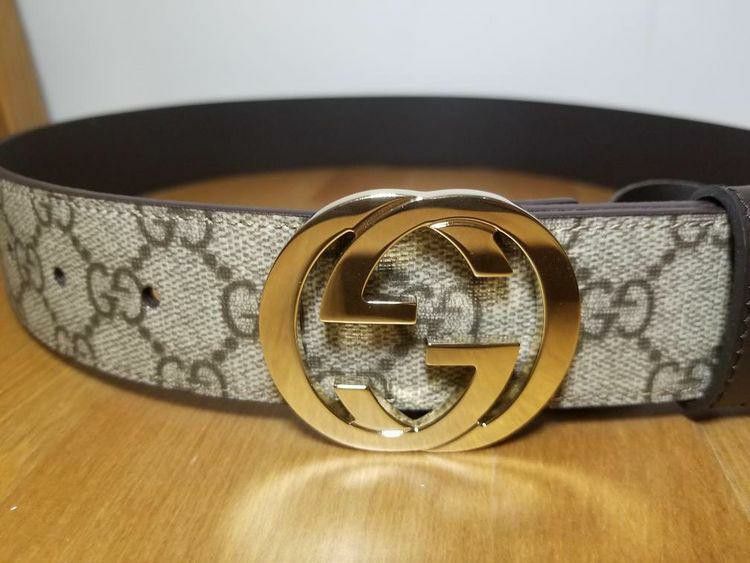 Gucci Supreme Brown Belt