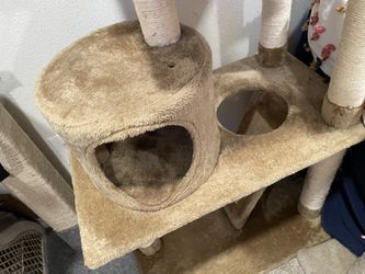 Cat Tower Thumbnail