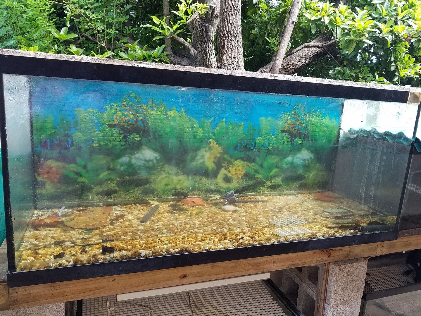 120 gallon Marineland fish tank for Sale in Miami, FL OfferUp