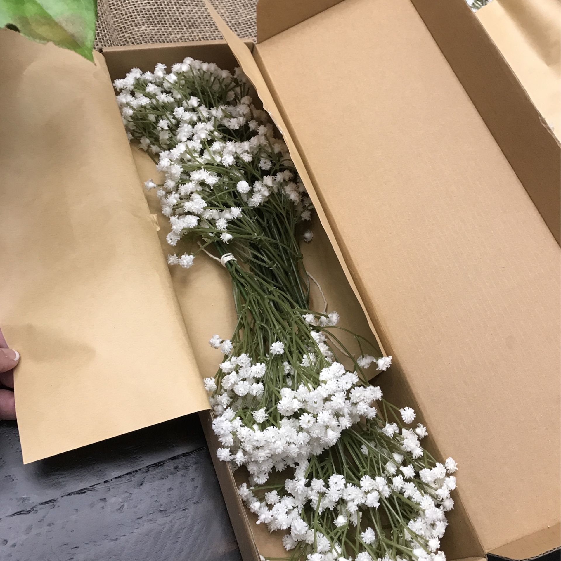 Baby’s Breath