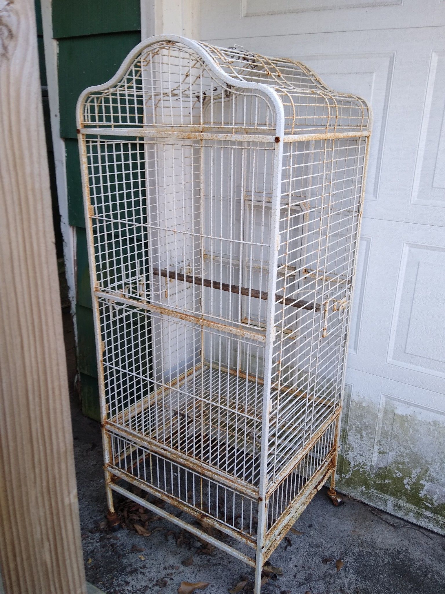 Large bird cage