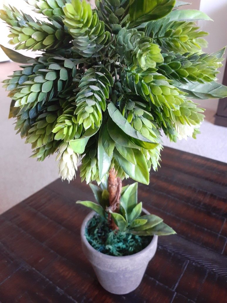 Fake Plant