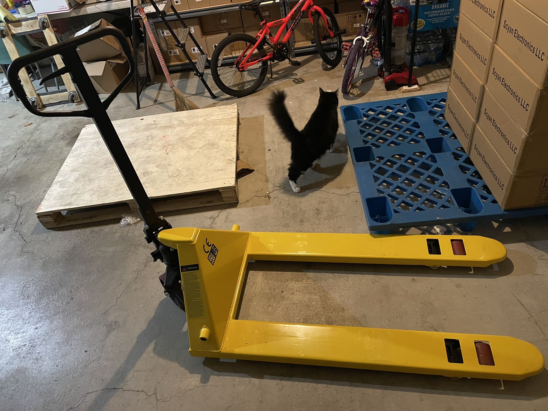 Pallet Jack, 5500-Lb