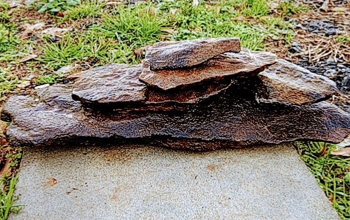 Creek Flat Auquarium, Reptile Rocks