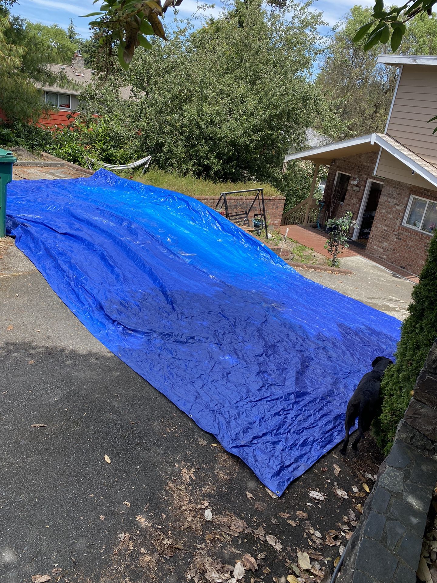 18' X 25' Tarp