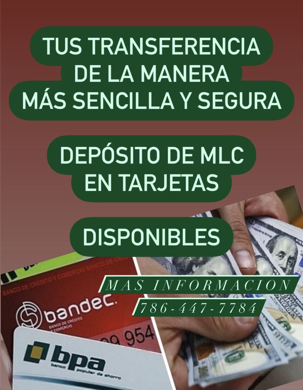 Envíos Cien por ciento Seguro