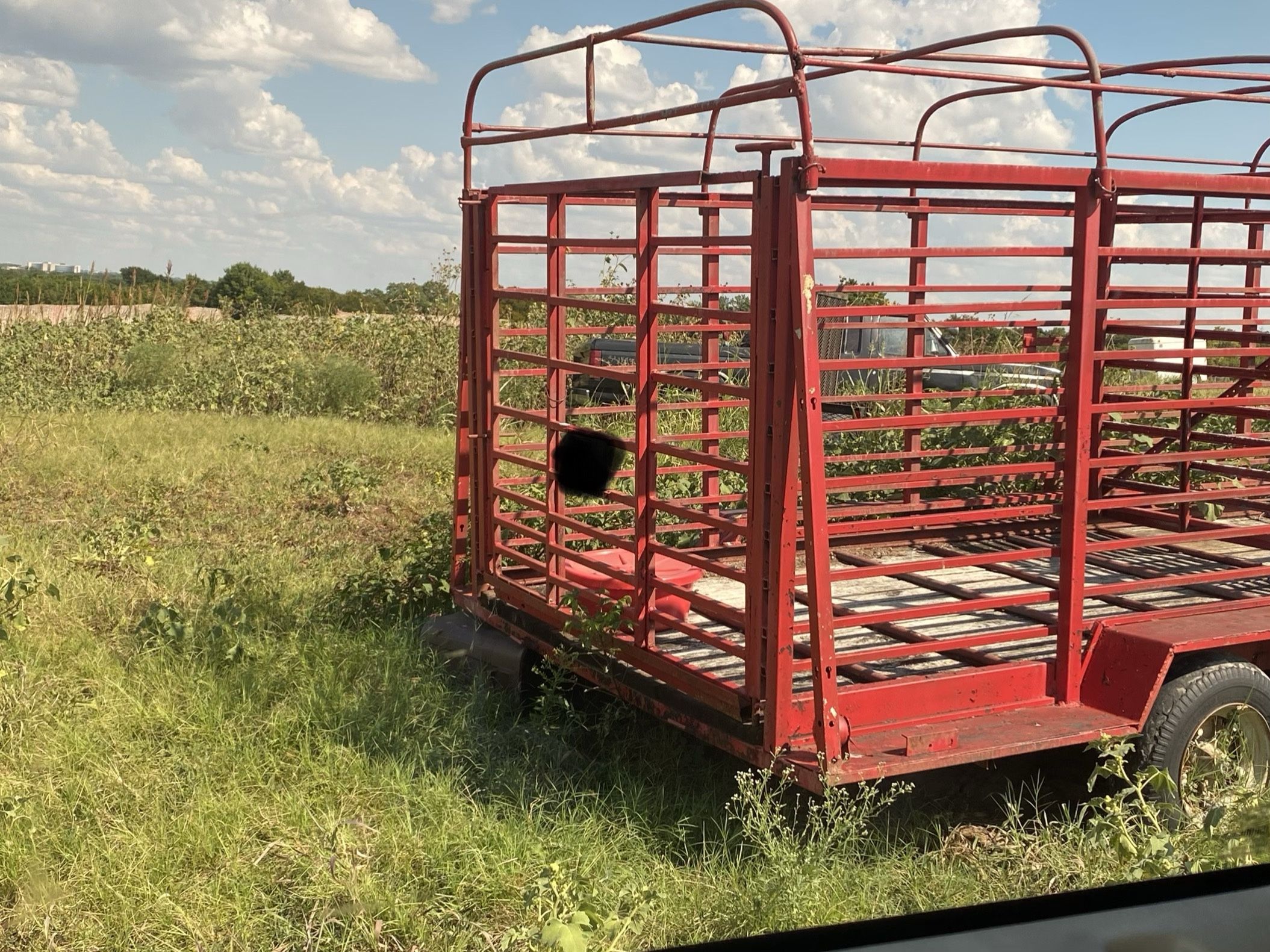 Handmade Cattle Gooseneck Trailer