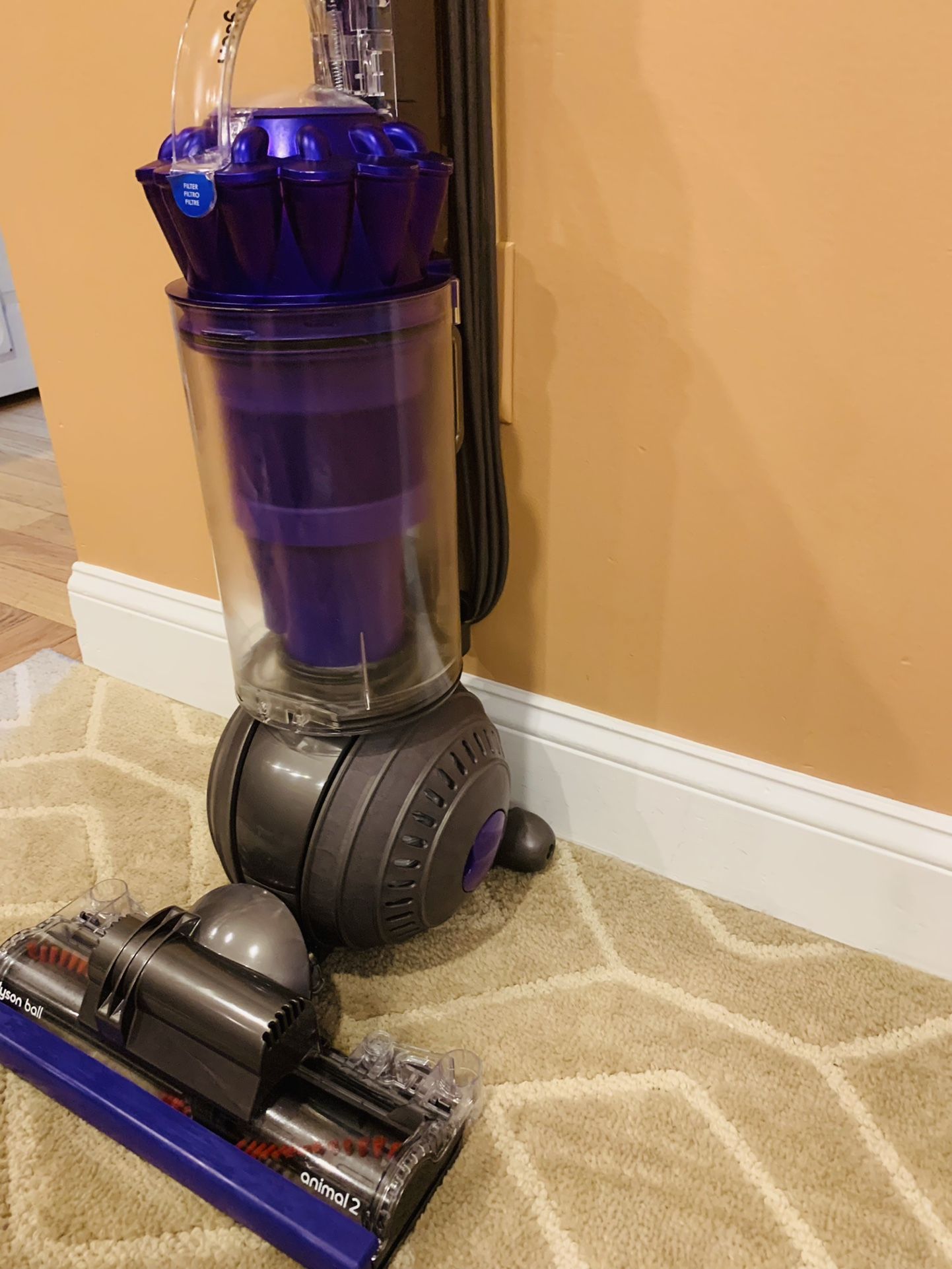 Dyson Animal 2 vacuum cleaner