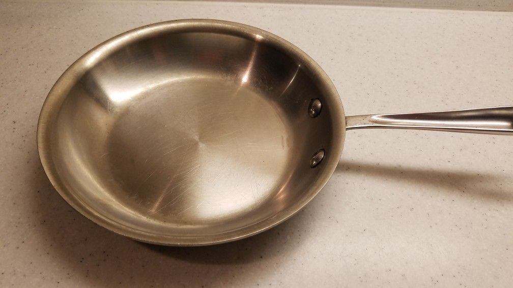 All-Clad Stainless Steel Fry Pan