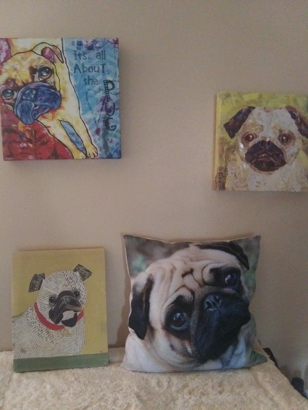 Pug Pictures & Pillow