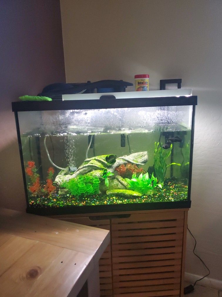 Fish Tank