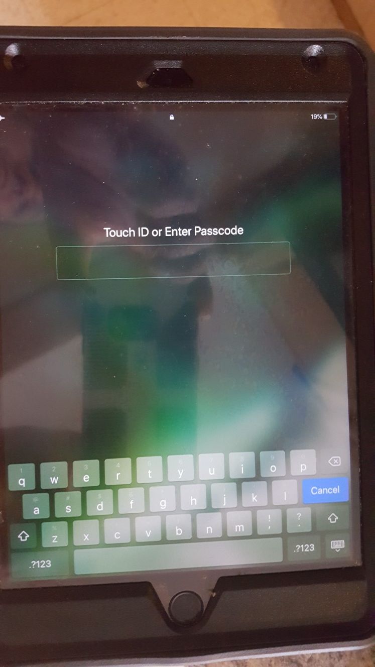 IPad mini4 128gb and otterbox