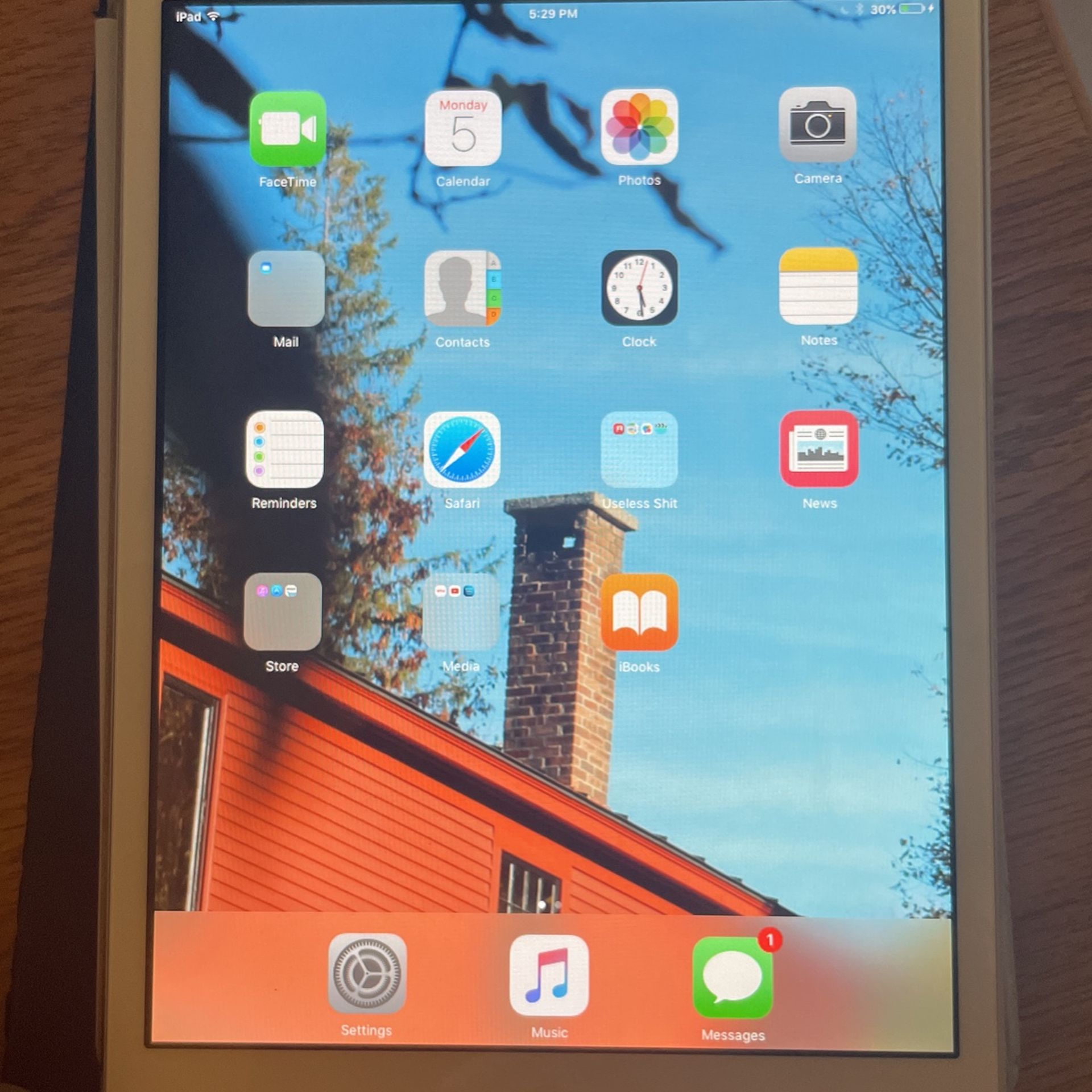 iPad Mini 1 With Charger