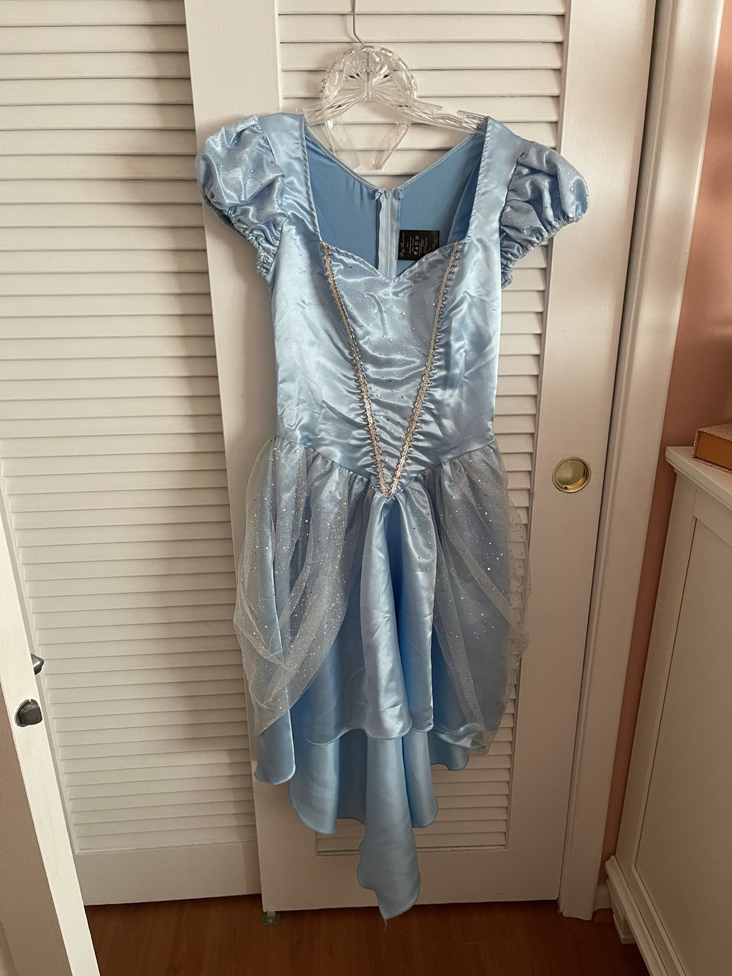 Cinderella Halloween Costume - M