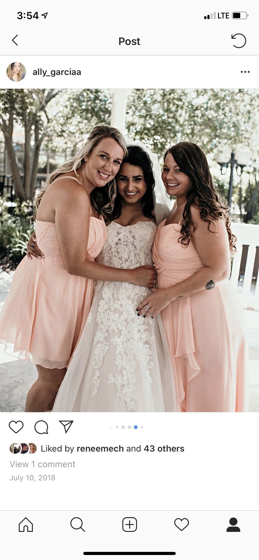 Beautiful David’s bridal wedding dress with veil