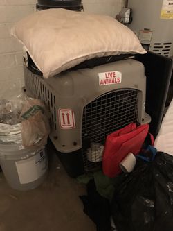 Kong dog crate, other crate, twin mattress FOR THE LOW Thumbnail