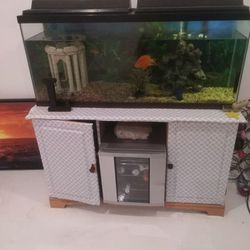 55gal Fish Tank Thumbnail