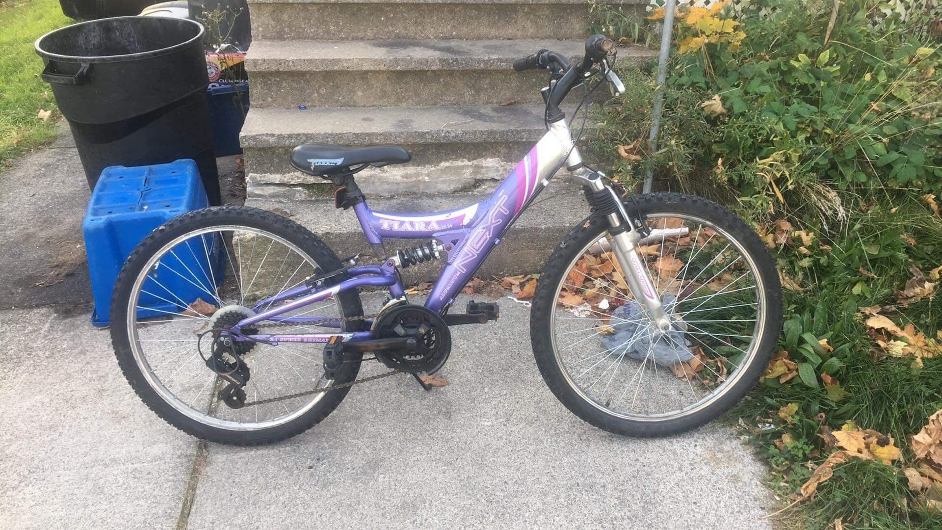 Mountain bike