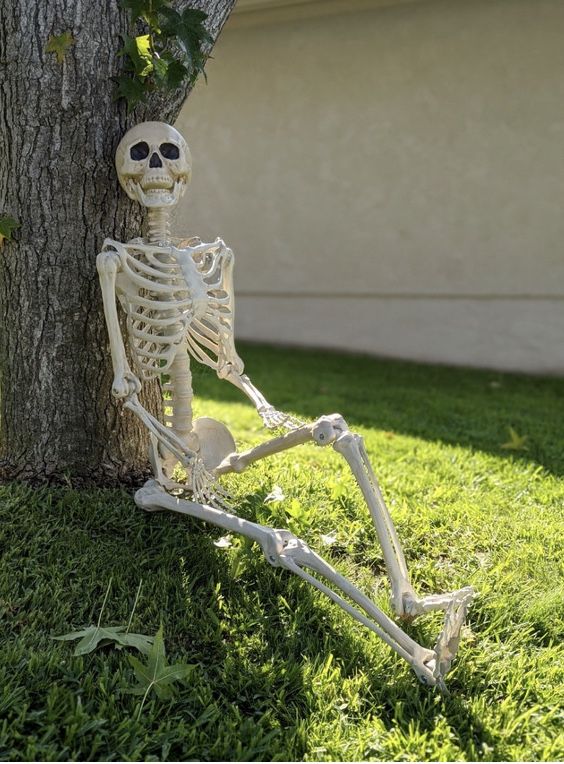 Halloween Decoration Skeleton