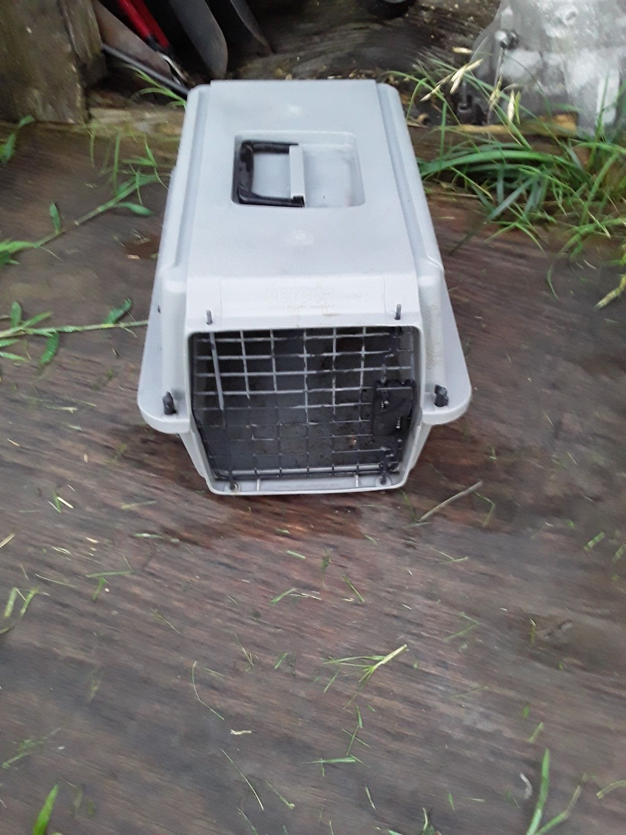 Dog kennel