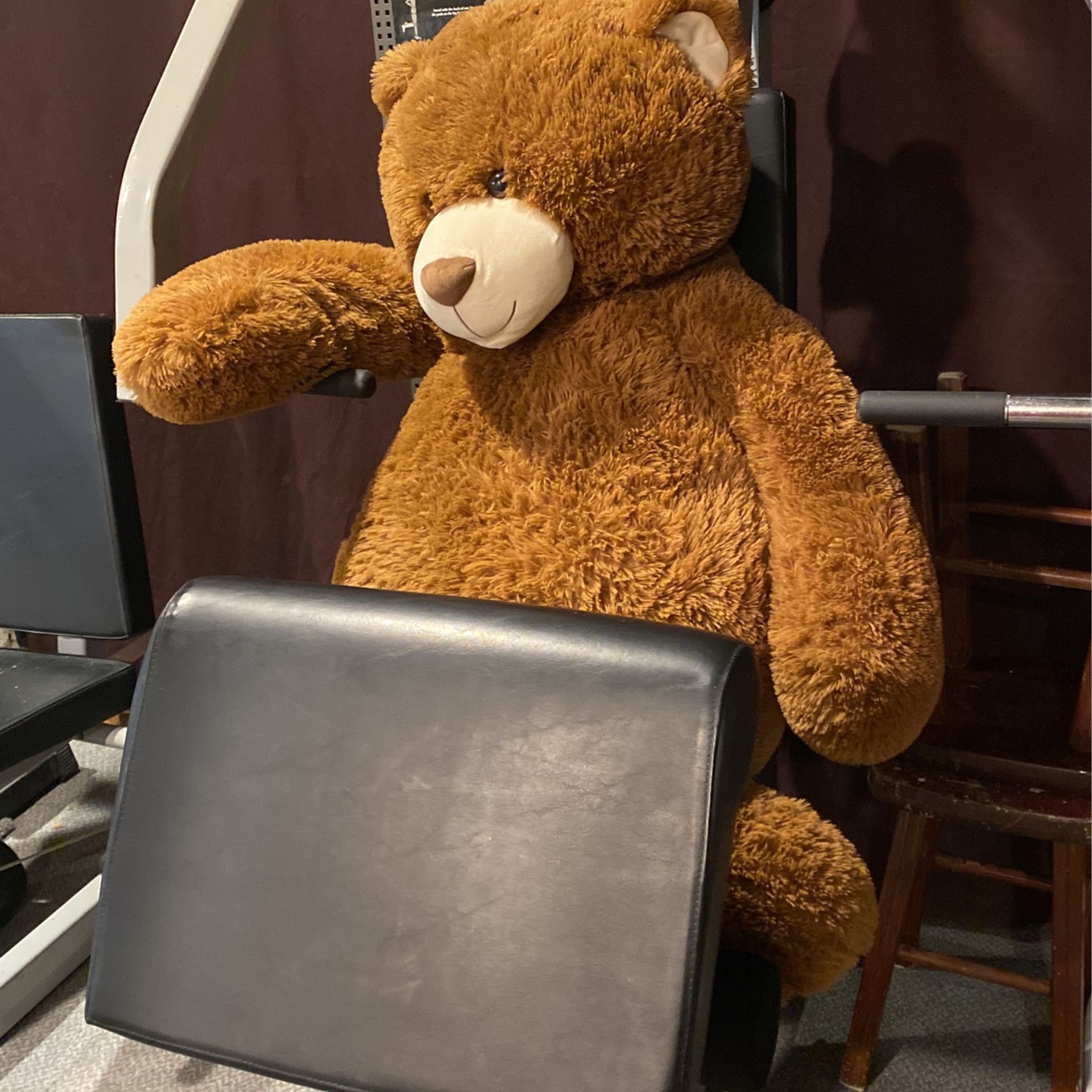 Gigantic Teddy Bear Perfecr Stuffy For Christmas