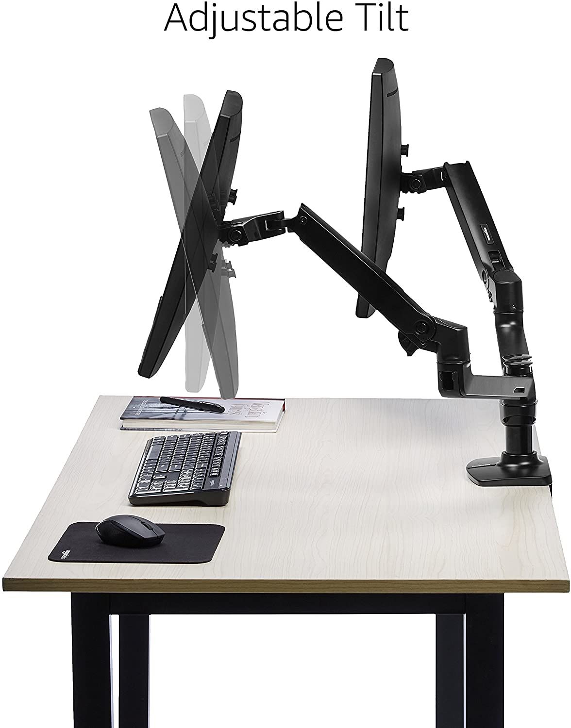 Dual 24" LG Monitors w/ Dual Monitor Mount!