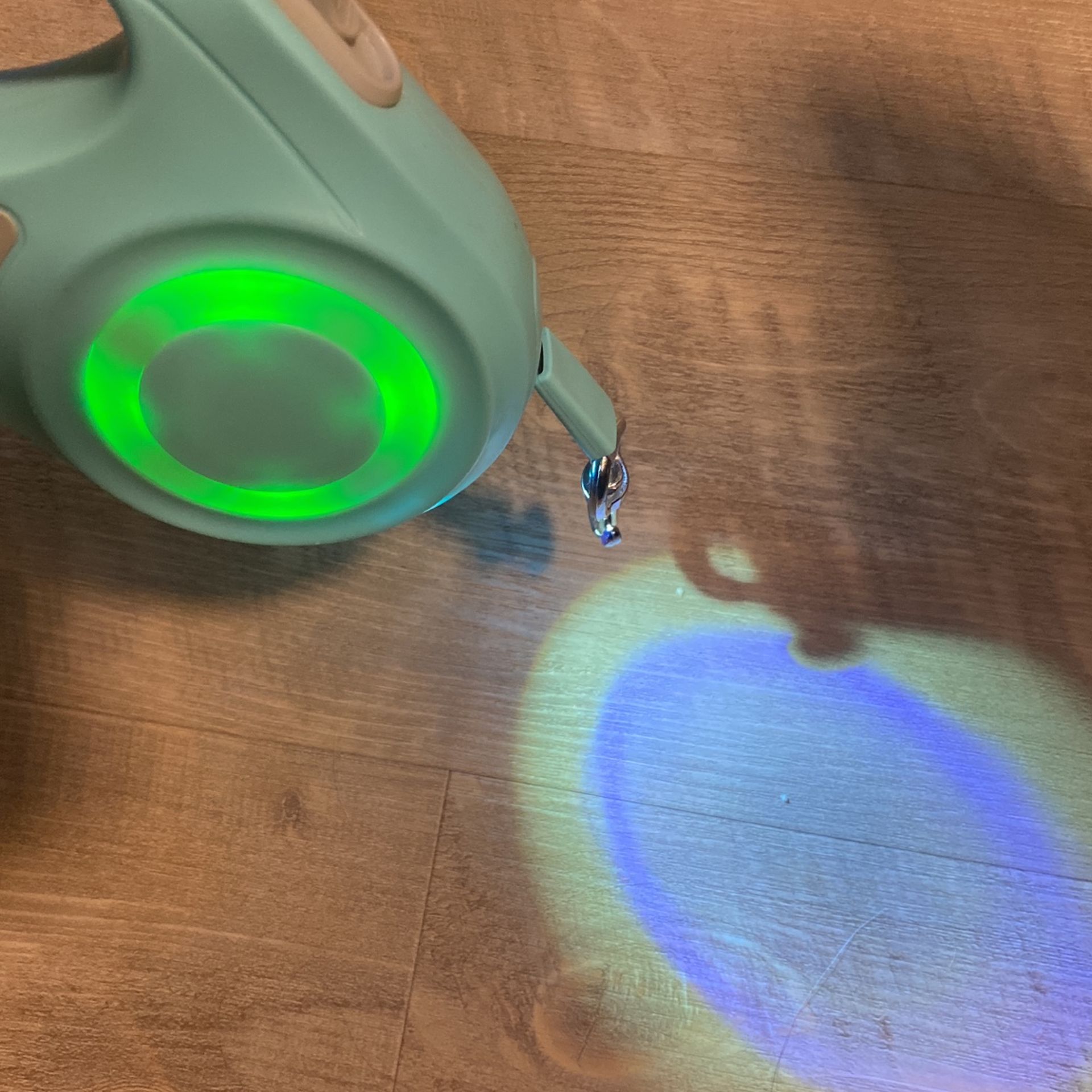 Light Up Led Dog Leash / Cat Leash