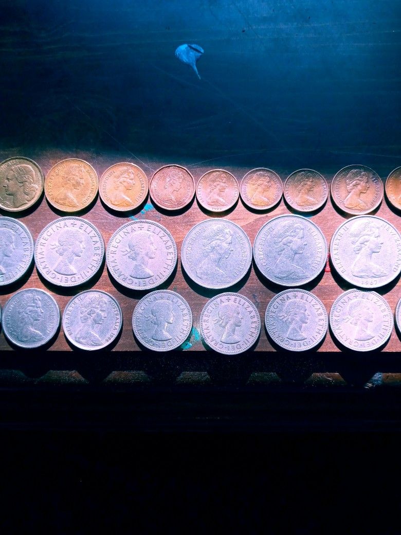Coin Collection