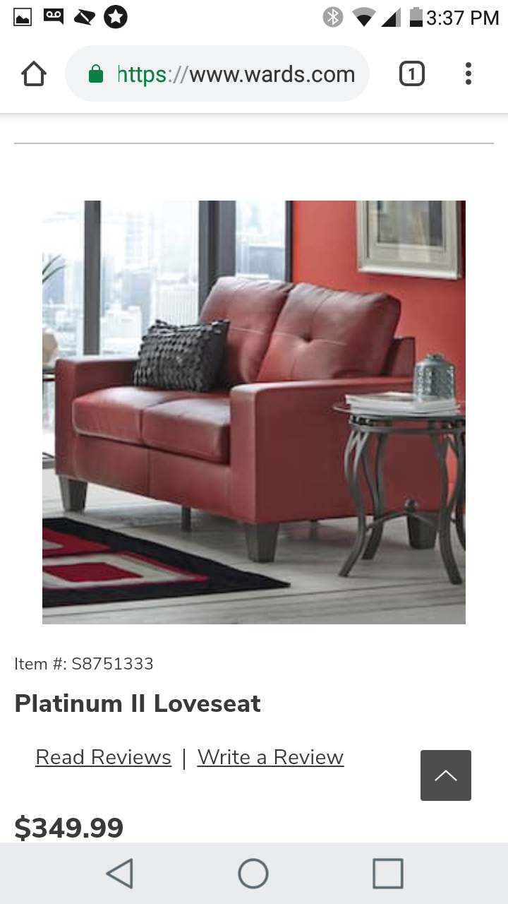 Platinum II Loveseat and Sofa