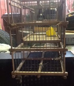 bird cage(trap) Thumbnail
