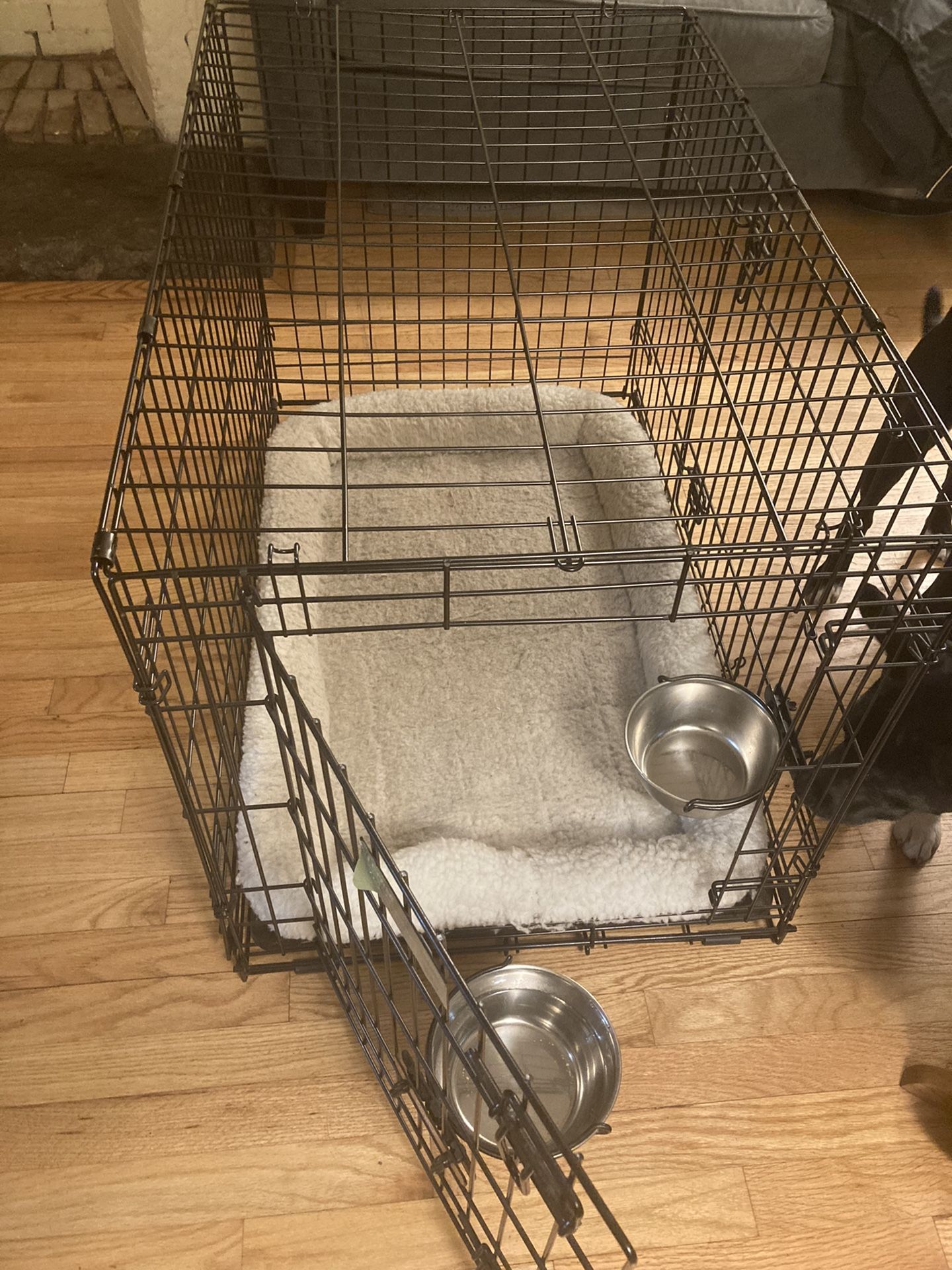 Dog Crate Starter Kit