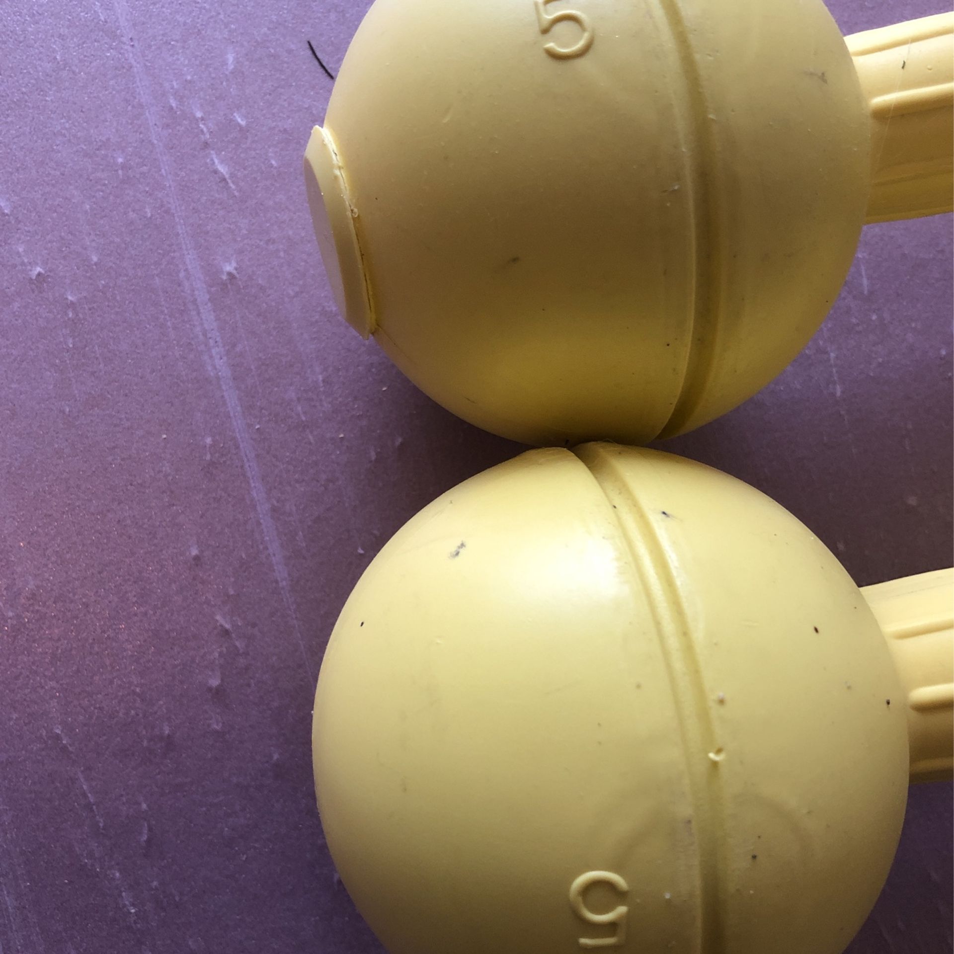 Dumbbells 5lb and 10lb