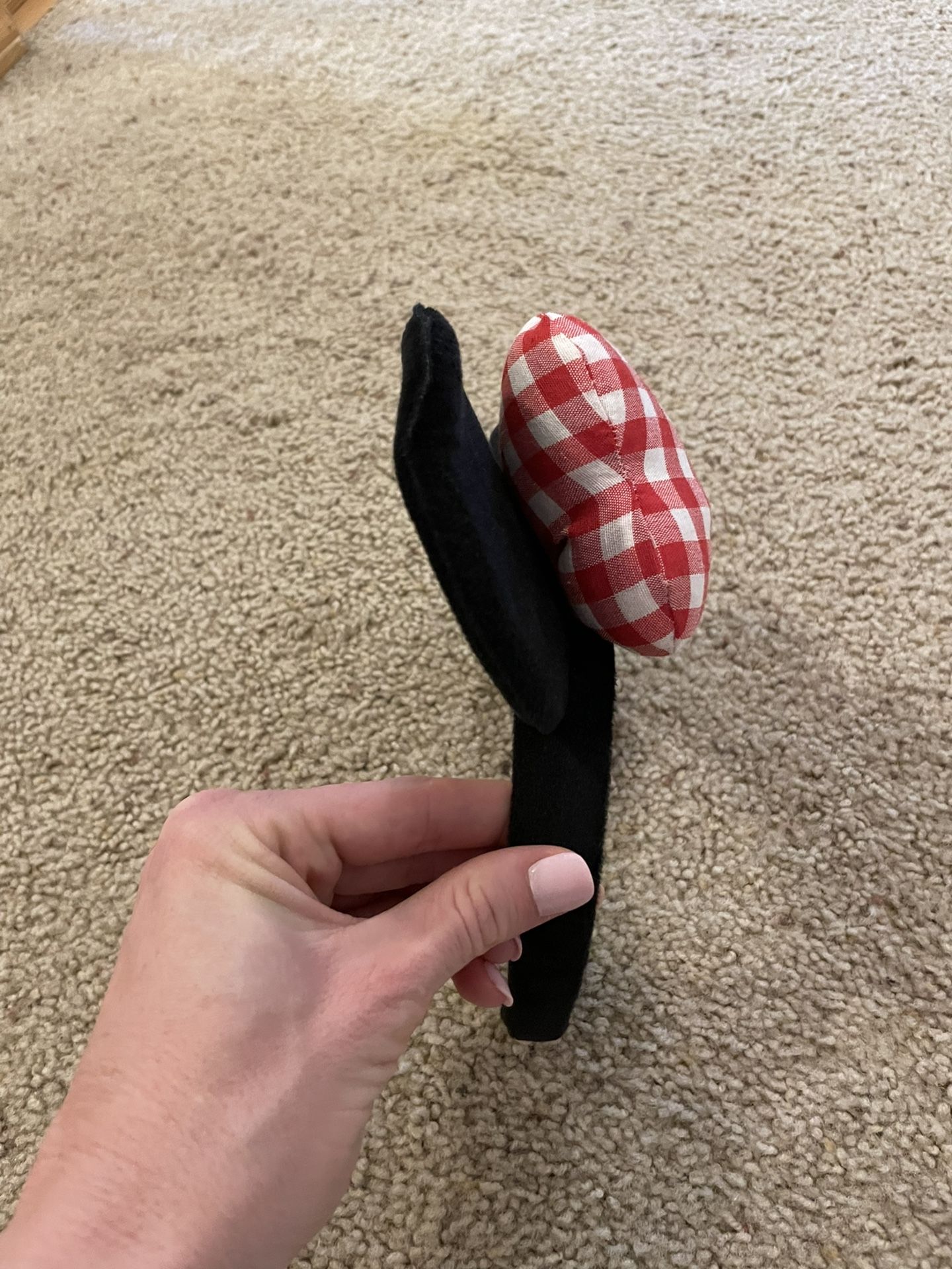 Mickey Ears