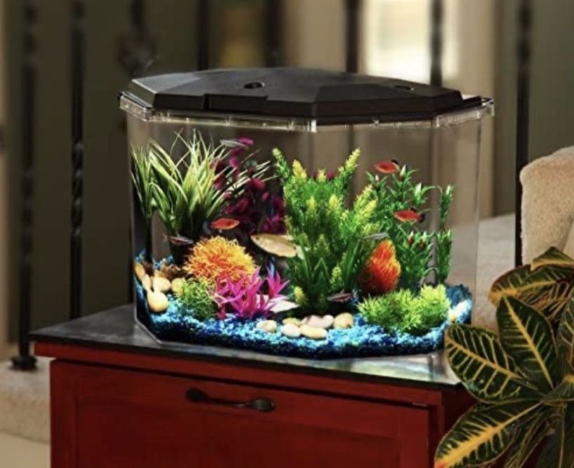 Fish Tank