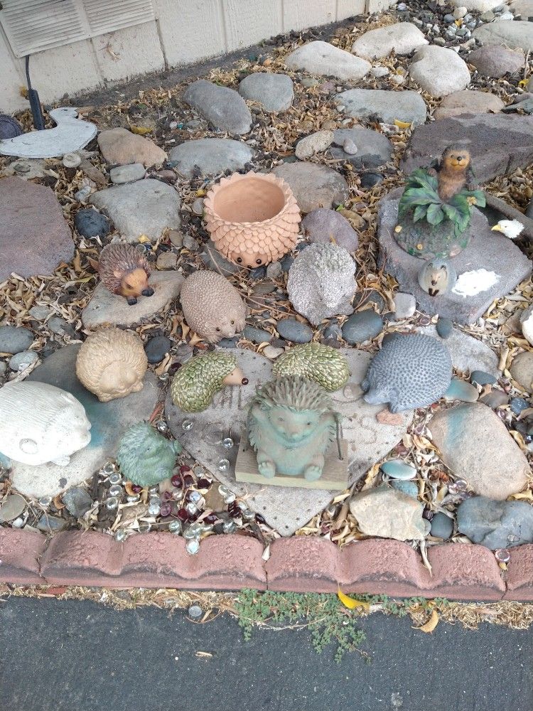 Hedge Hog Collection