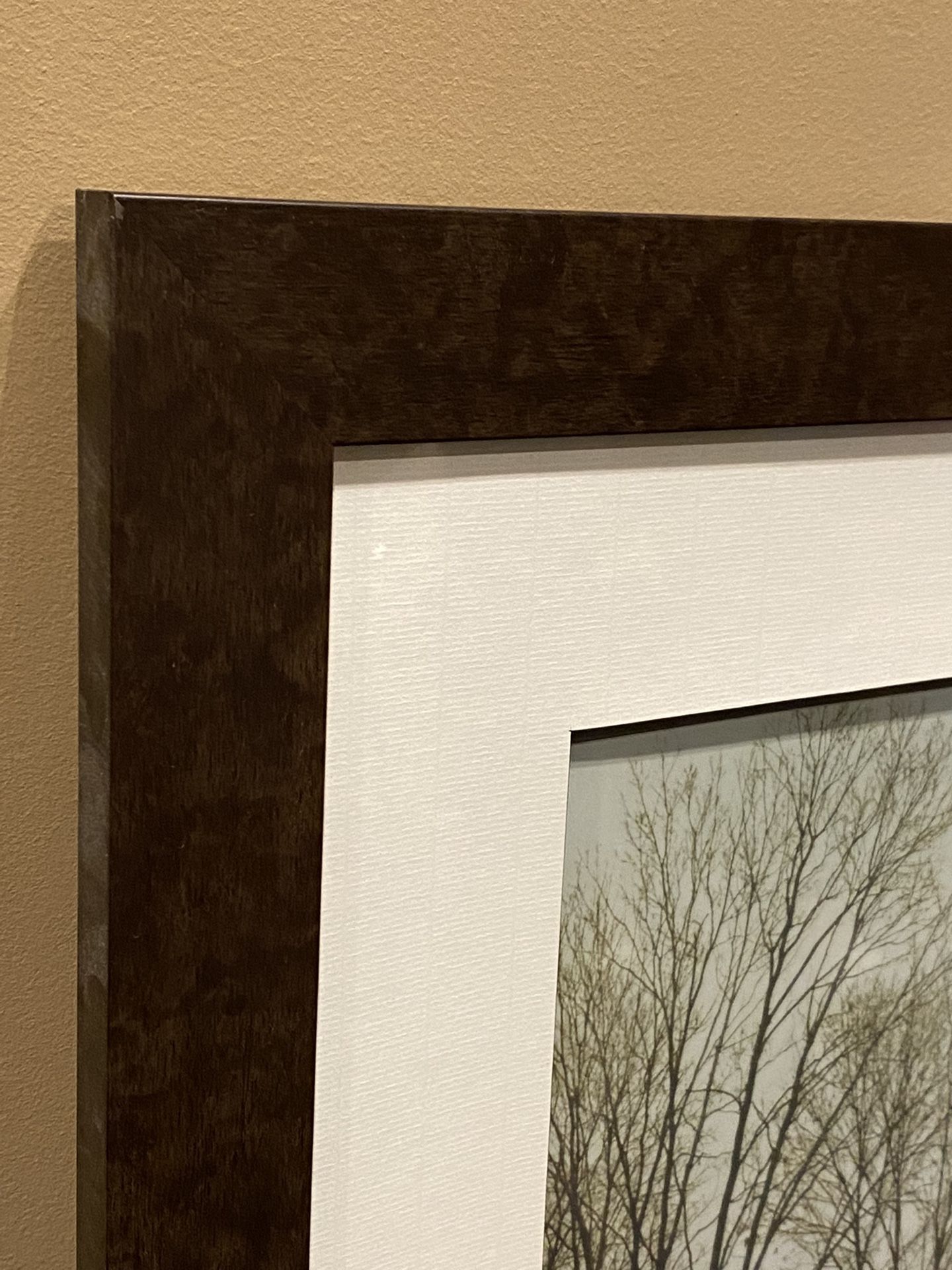 Framed Landscape Art Print