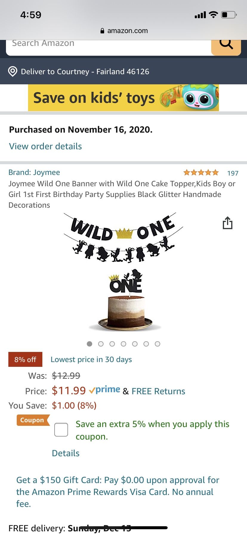1st Birthday Party Decorations
