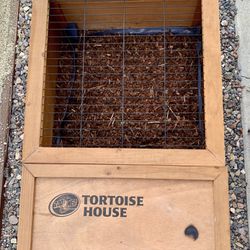 Tortoise House Thumbnail