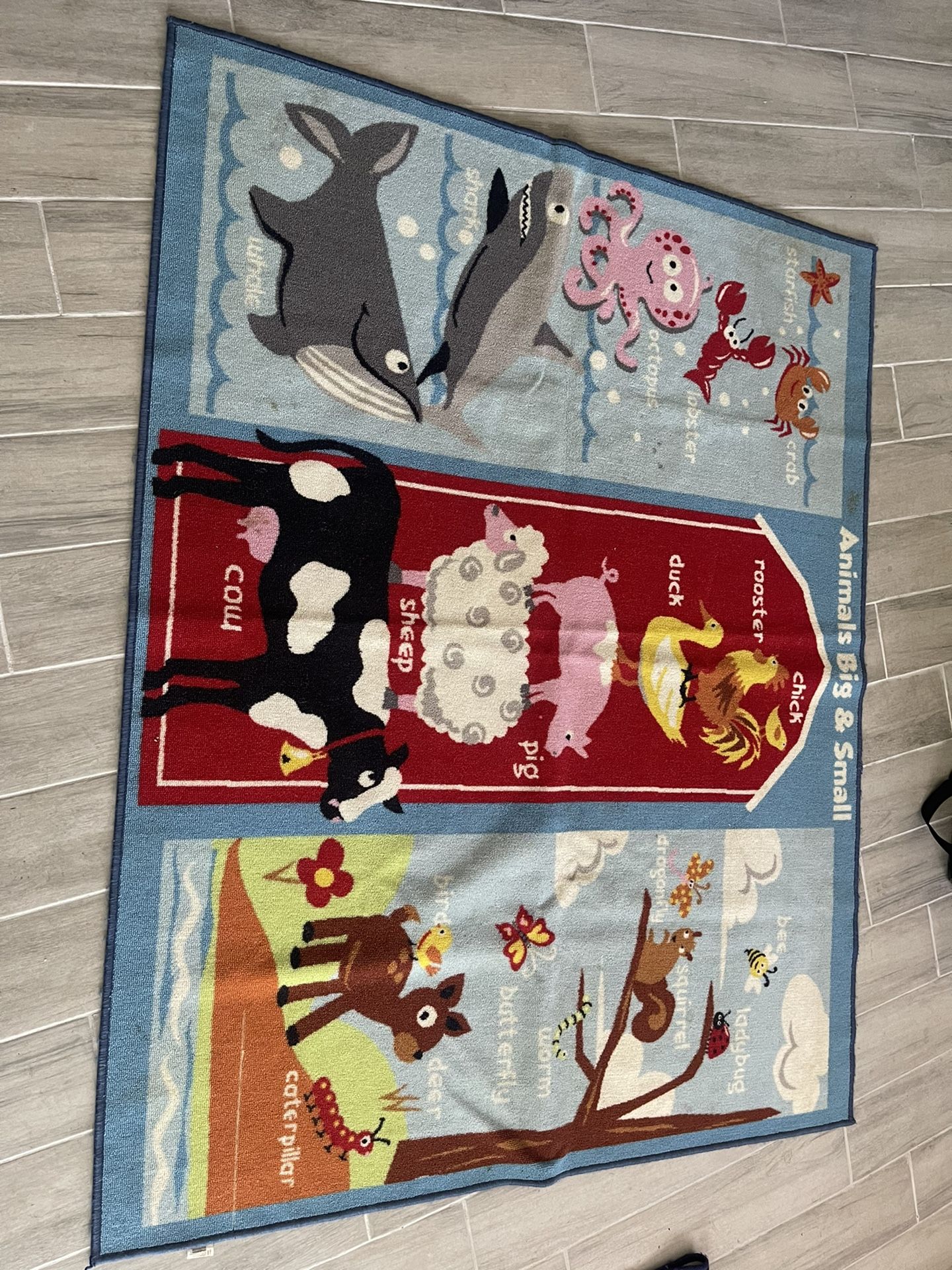 Kids Rugs