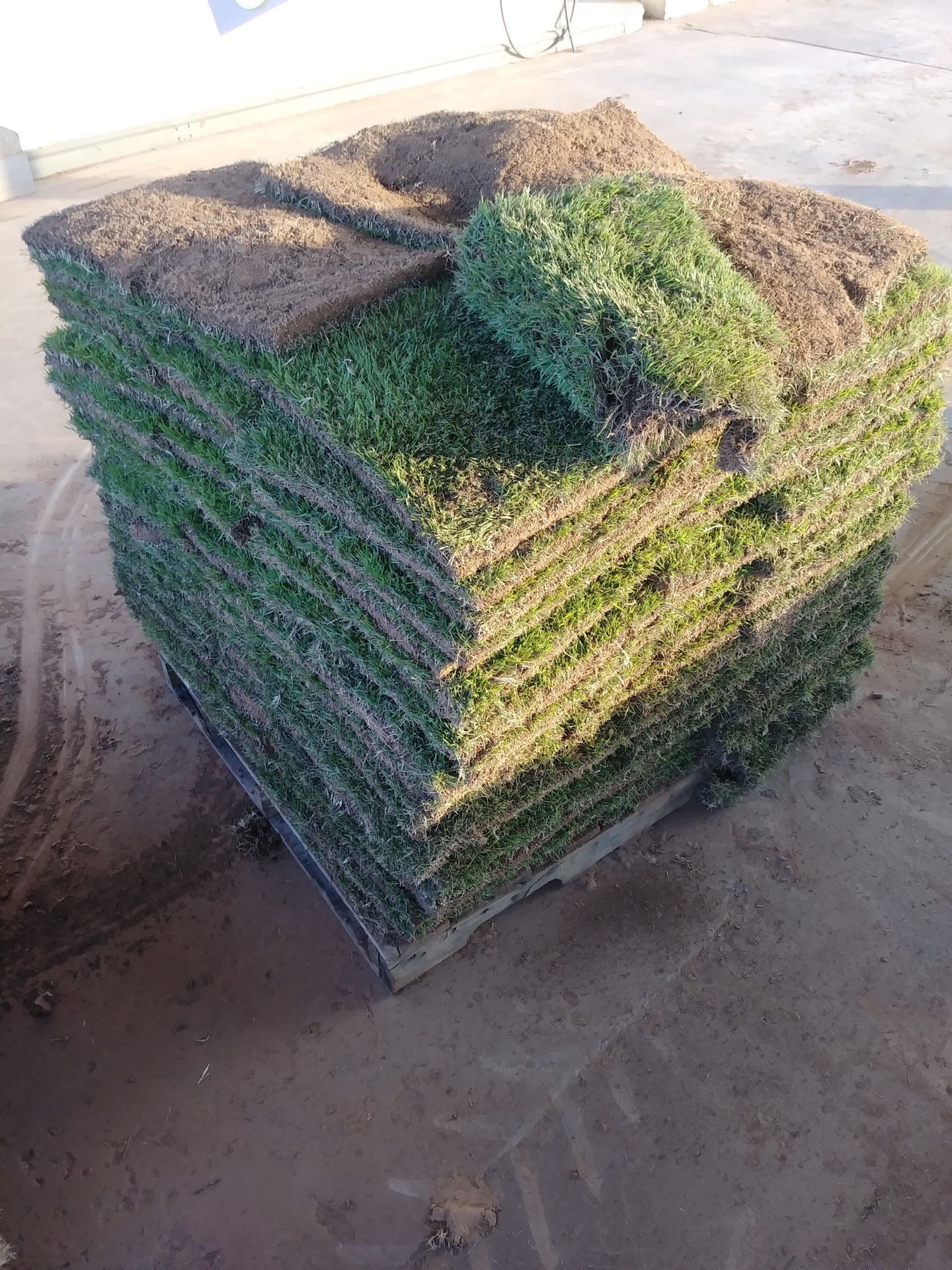 400 SqFt Zoysia Sod Pallets for Sale in Broken Arrow, OK OfferUp