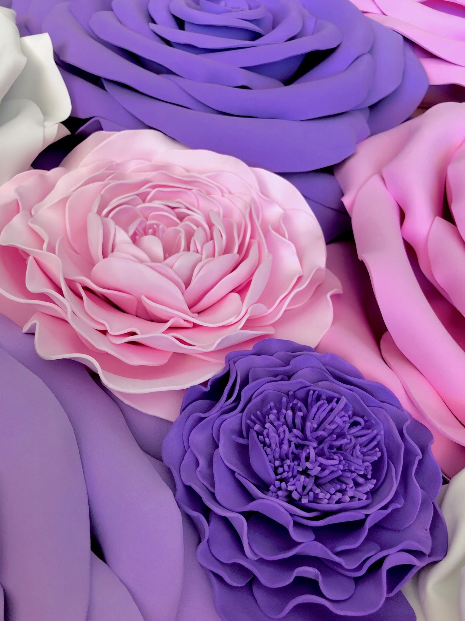 Giant Roses for Wall decor/Backdrop