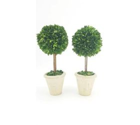 2 Pcs Artificial Boxwood Topiary In Planter  Thumbnail