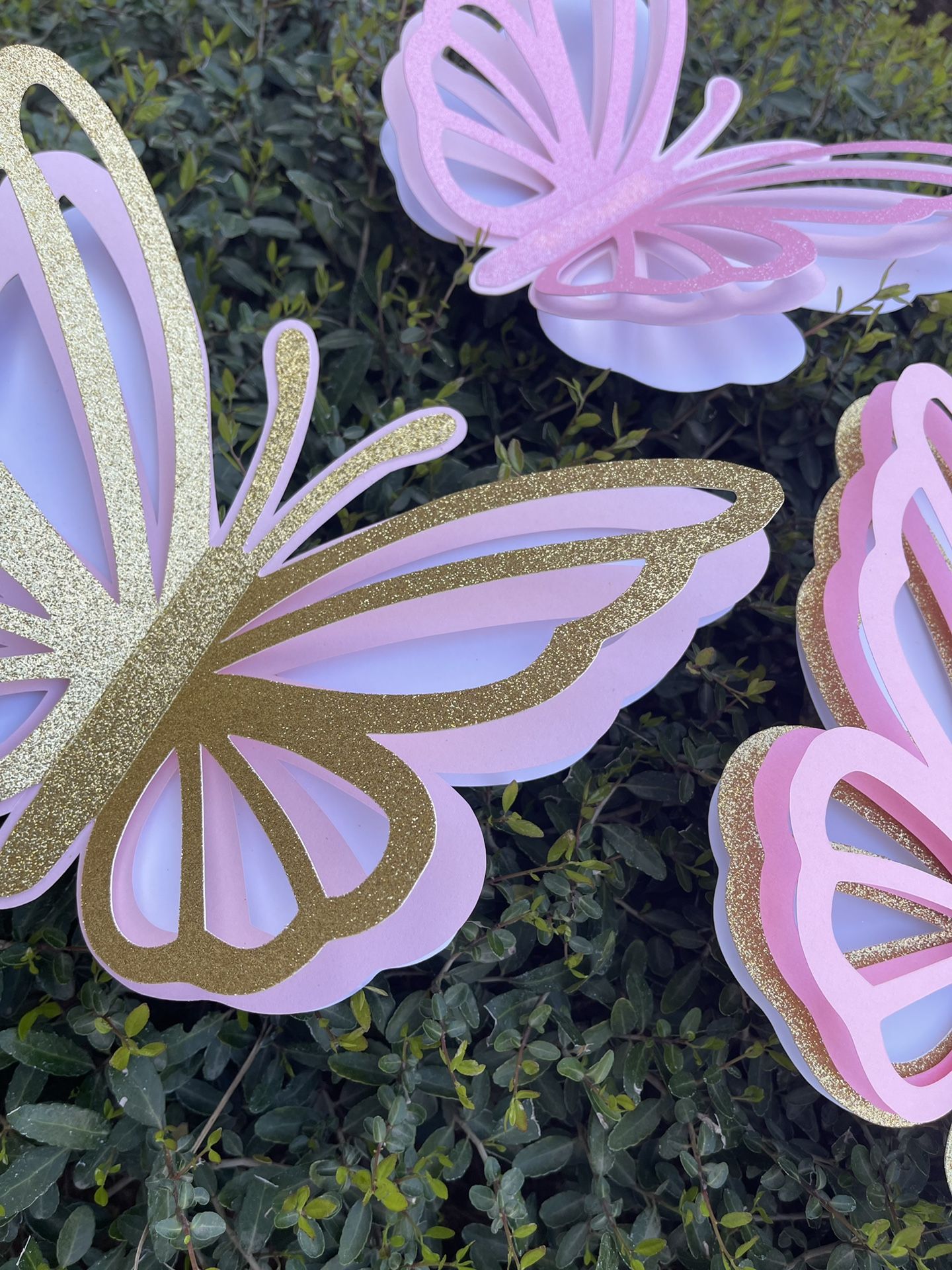 3D Large Butterflies