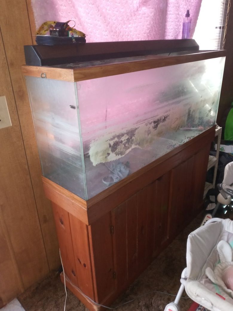65 gallon fish tank with stand