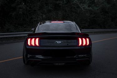 2019 Ford Mustang Thumbnail